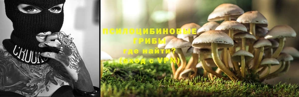 гидропоника Заводоуковск