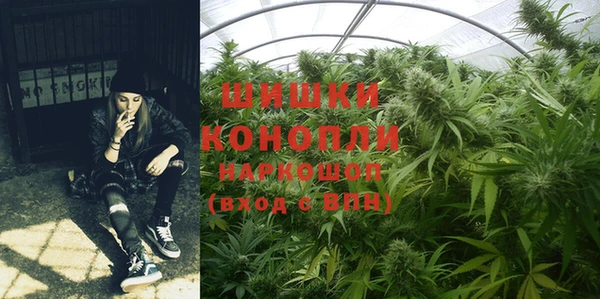 гидропоника Заводоуковск