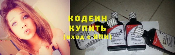 крисы Яранск