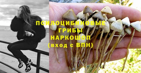 PSILOCYBIN Семилуки