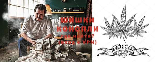 PSILOCYBIN Семилуки