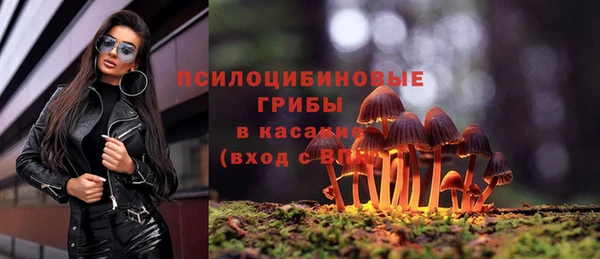 гидропоника Заводоуковск
