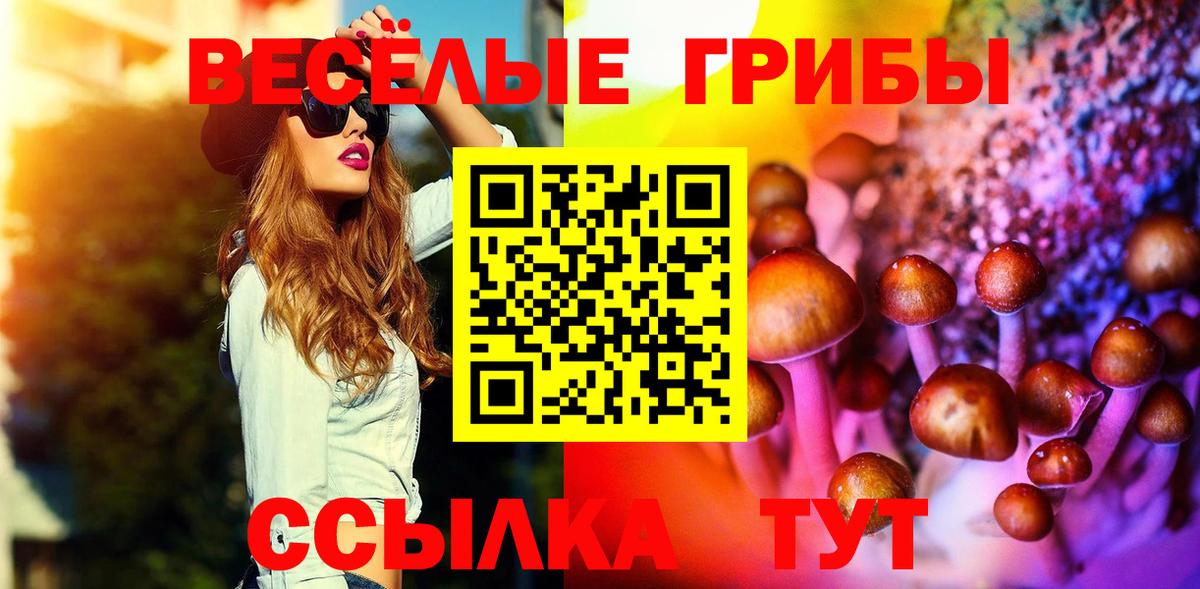 Псилоцибиновые грибы ЛСД Сибай