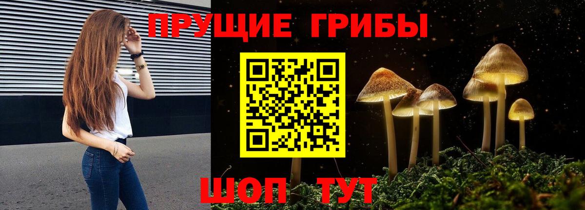 Псилоцибиновые грибы Psilocybine cubensis Сибай