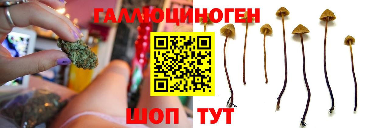 Галлюциногенные грибы Magic Shrooms  Сибай  продажа наркотиков  Галлюциногенные грибы MAGIC MUSHROOMS 
